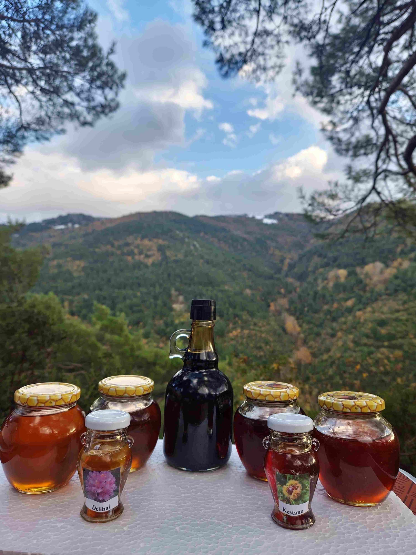 Organik 7’li Yayla Seçkisi