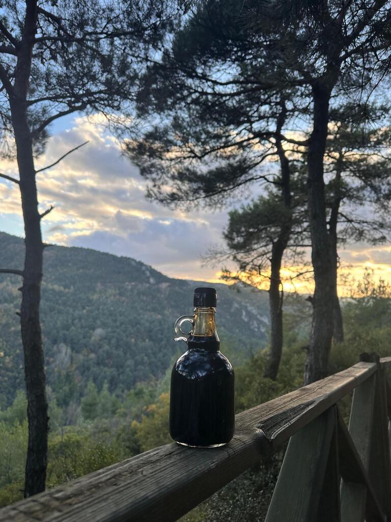 Organik 7’li Yayla Seçkisi