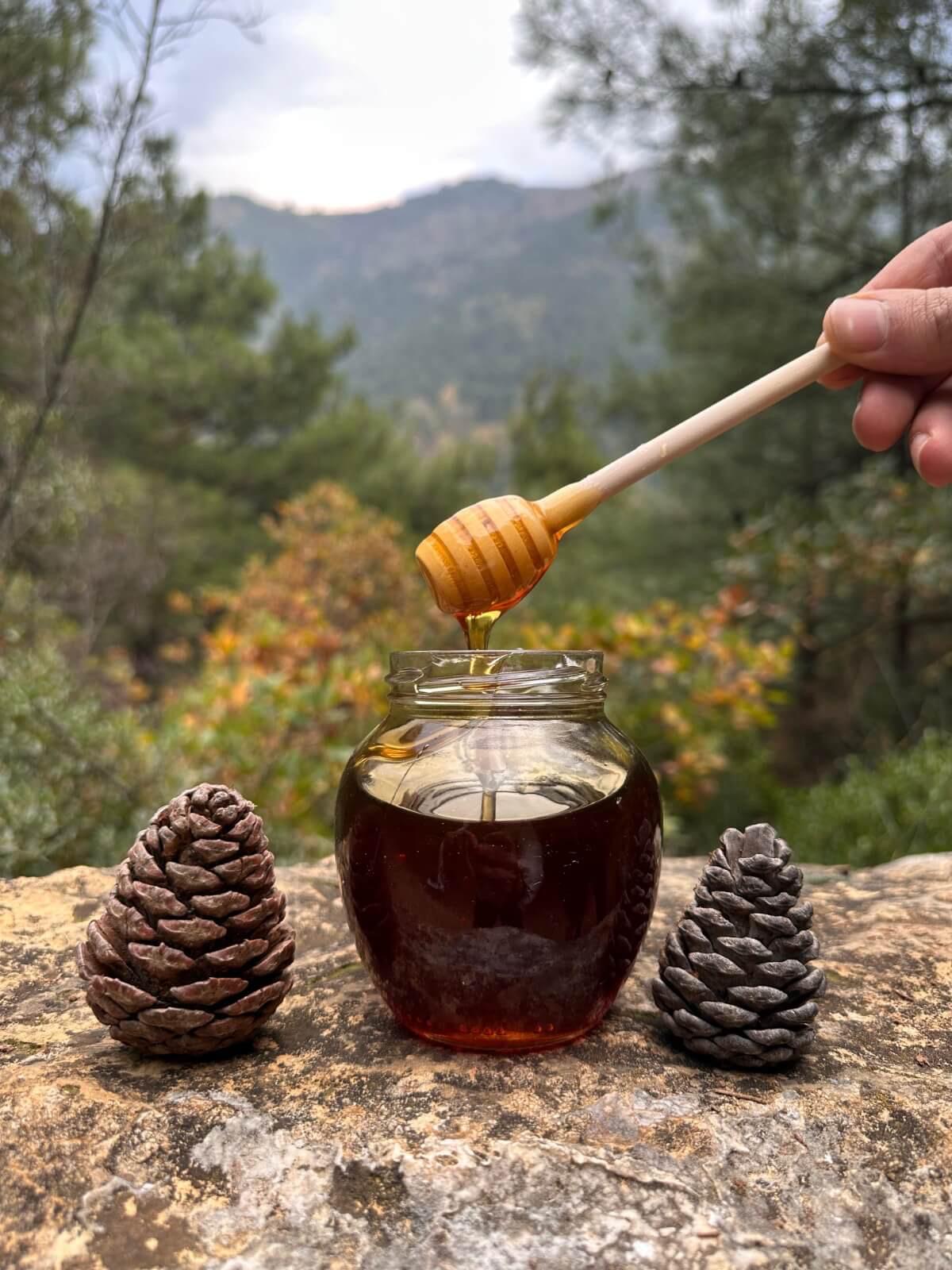 Organik 7’li Yayla Seçkisi