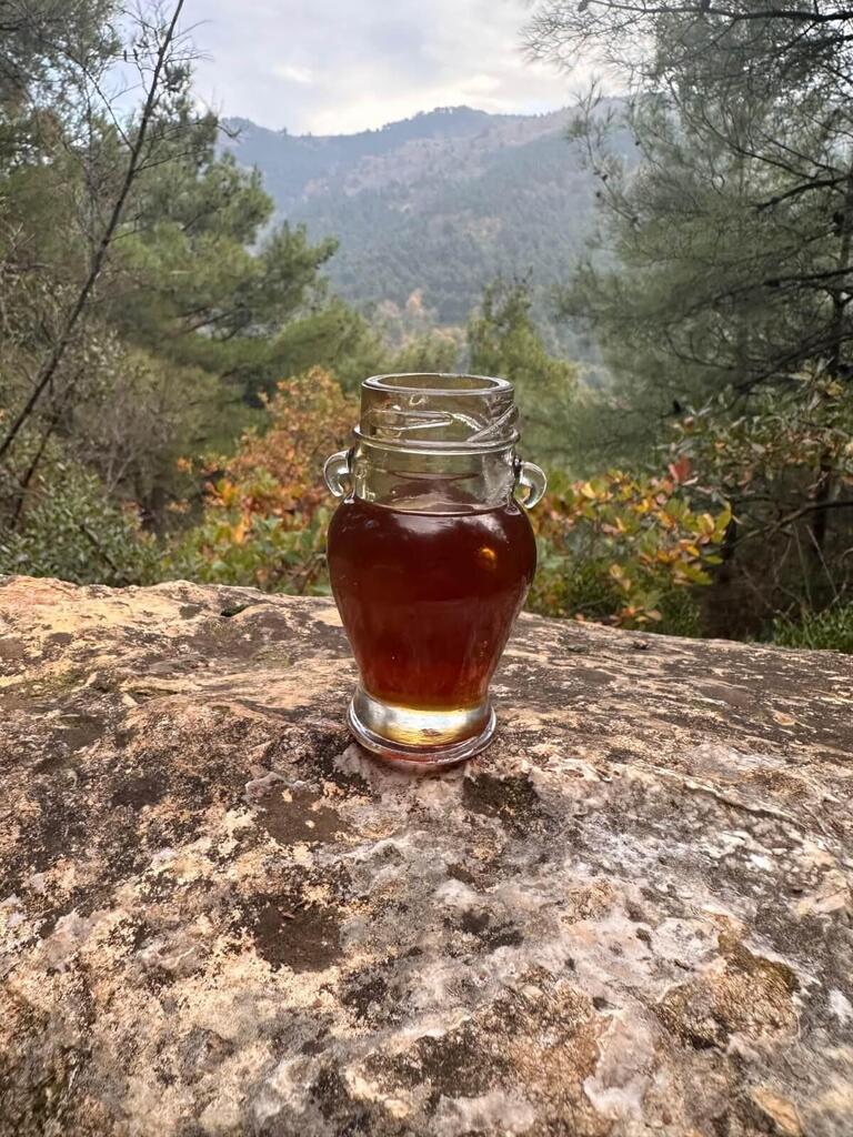 Organik 7’li Yayla Seçkisi