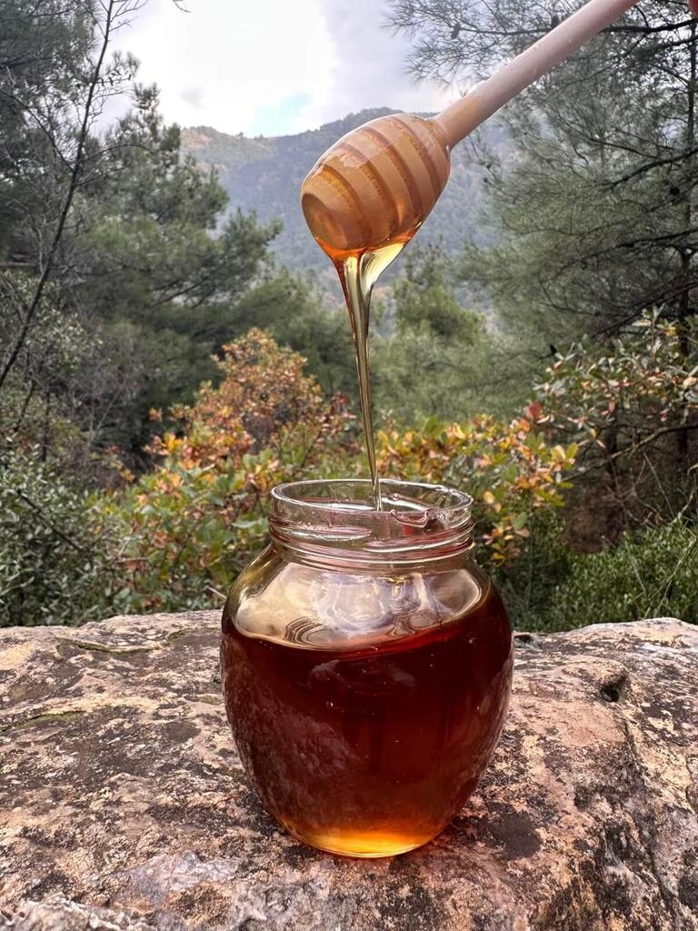 Organik 7’li Yayla Seçkisi
