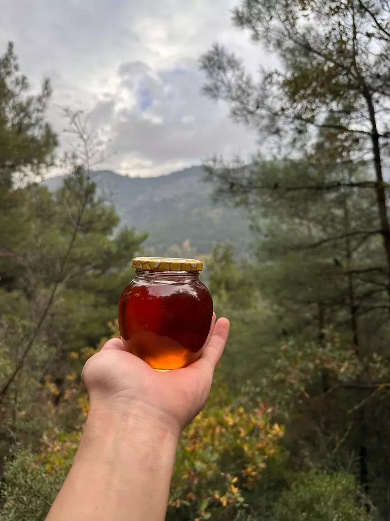Yayla Çiçek Balı