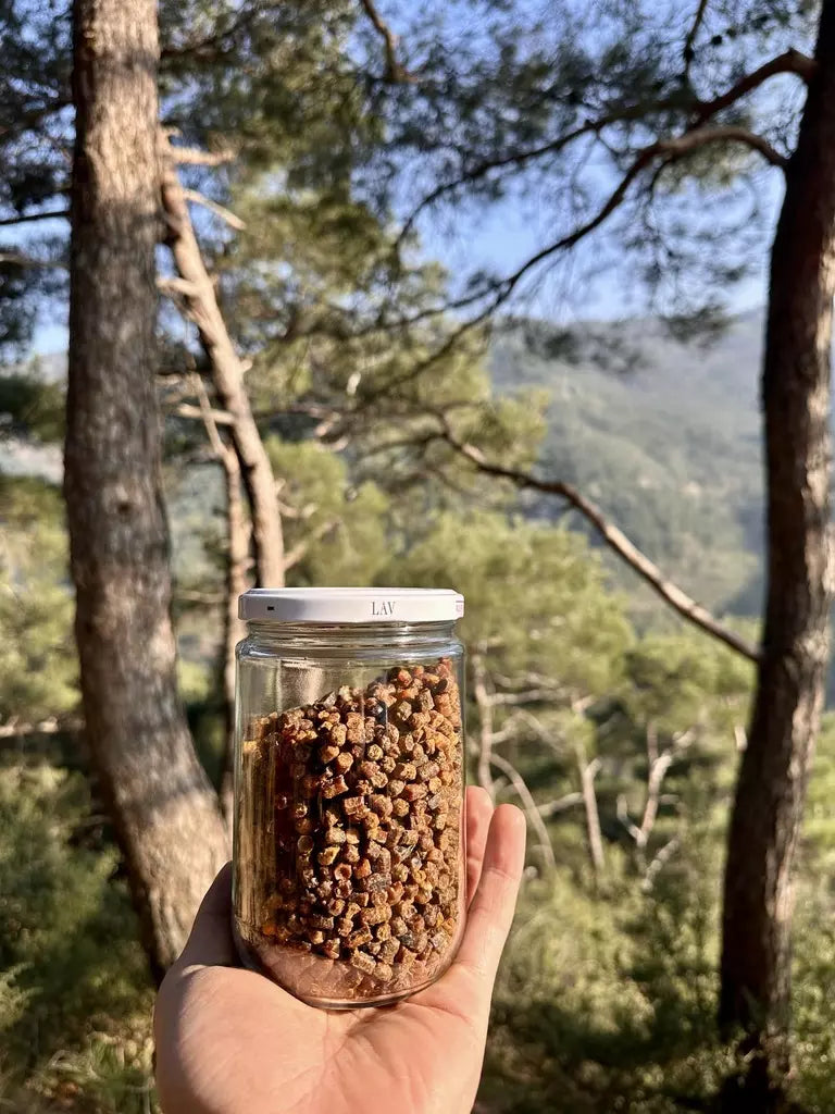 Arı Ekmeği (Perga)
