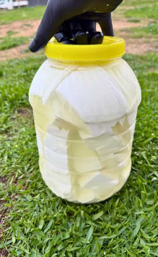 Katkısız Geleneksel Yayla Köy Peyniri