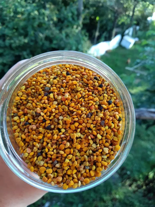 Arı Poleni