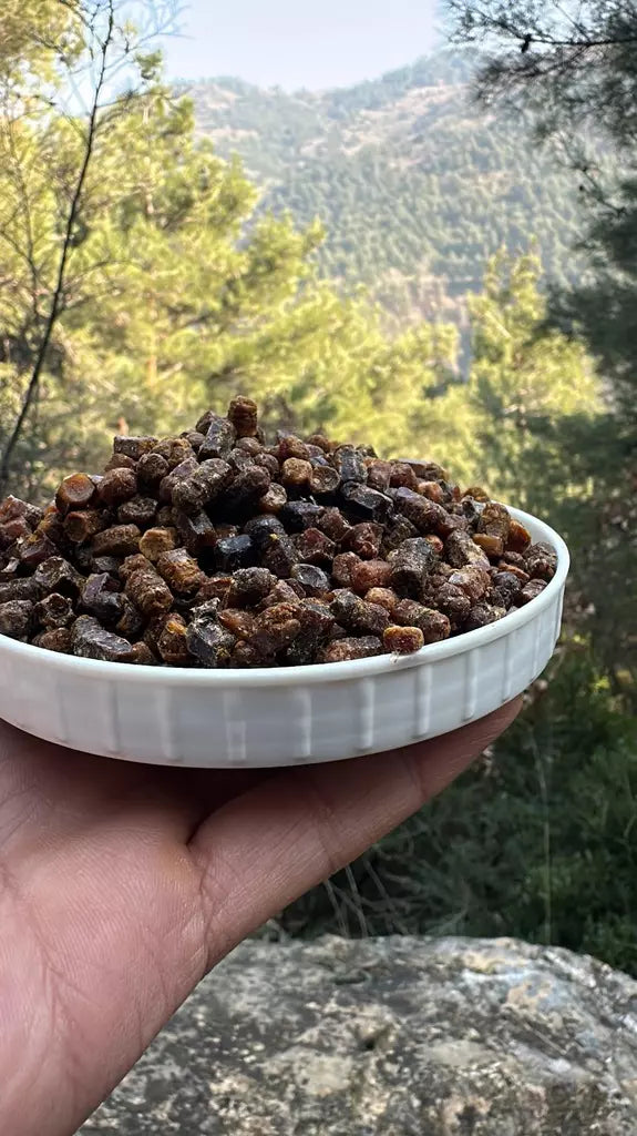 Arı Ekmeği (Perga)