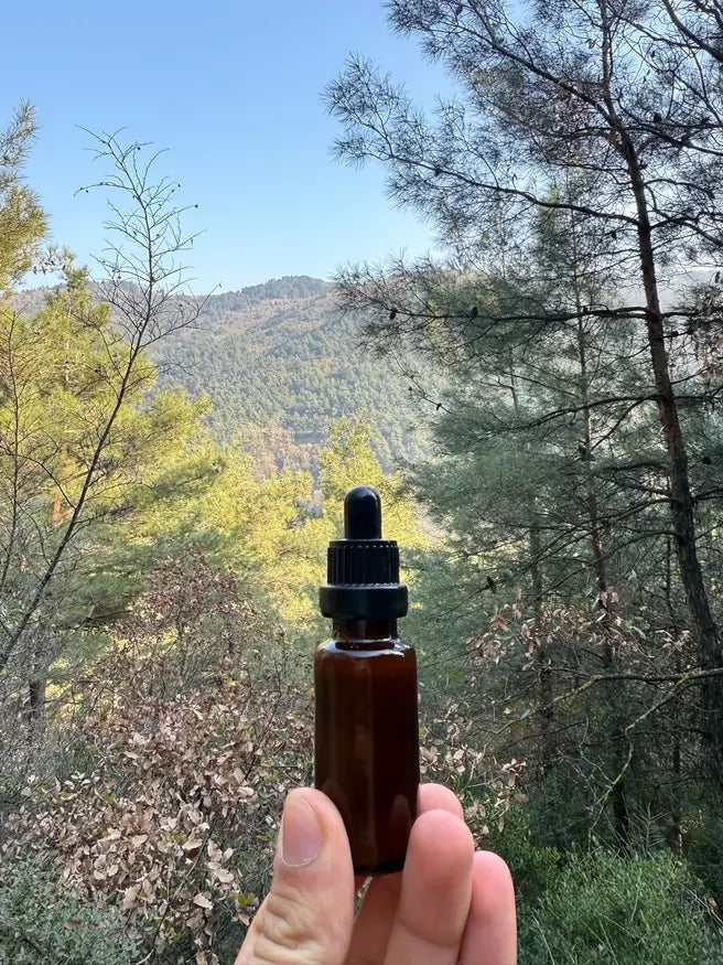 Saf Propolis