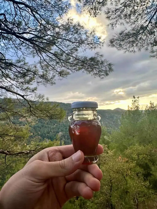 Yayla Kestane Balı