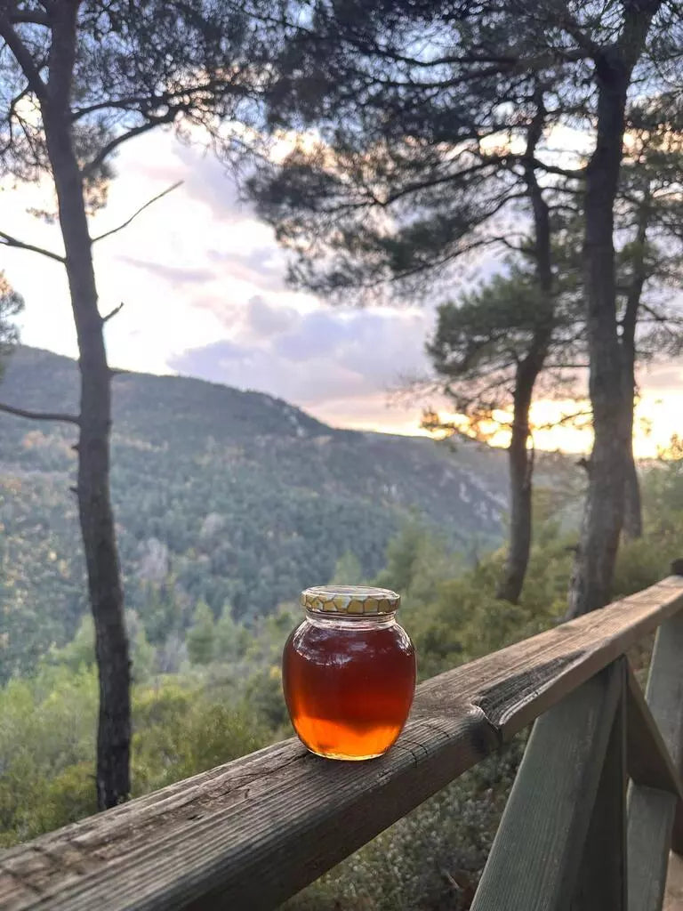 Yayla Çiçek Balı