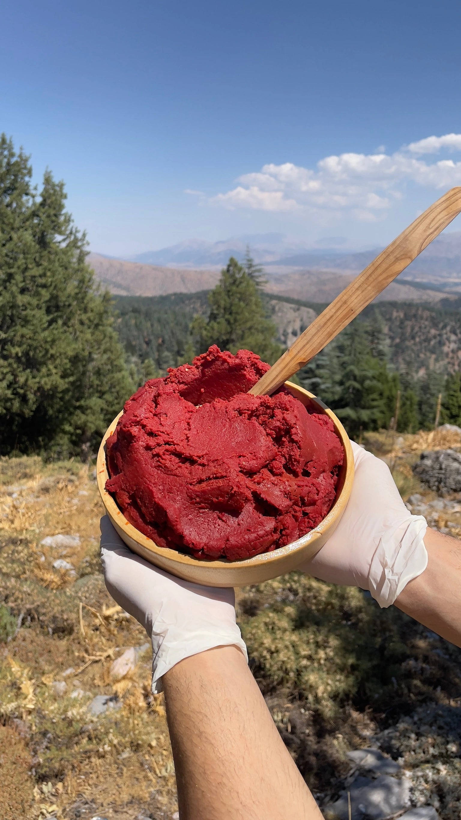 Katkısız Yayla Domates Salçası