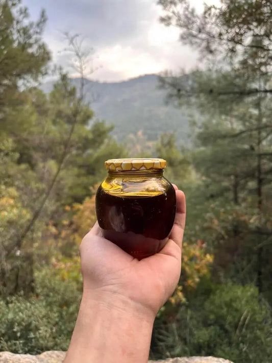 Yayla Çam Balı